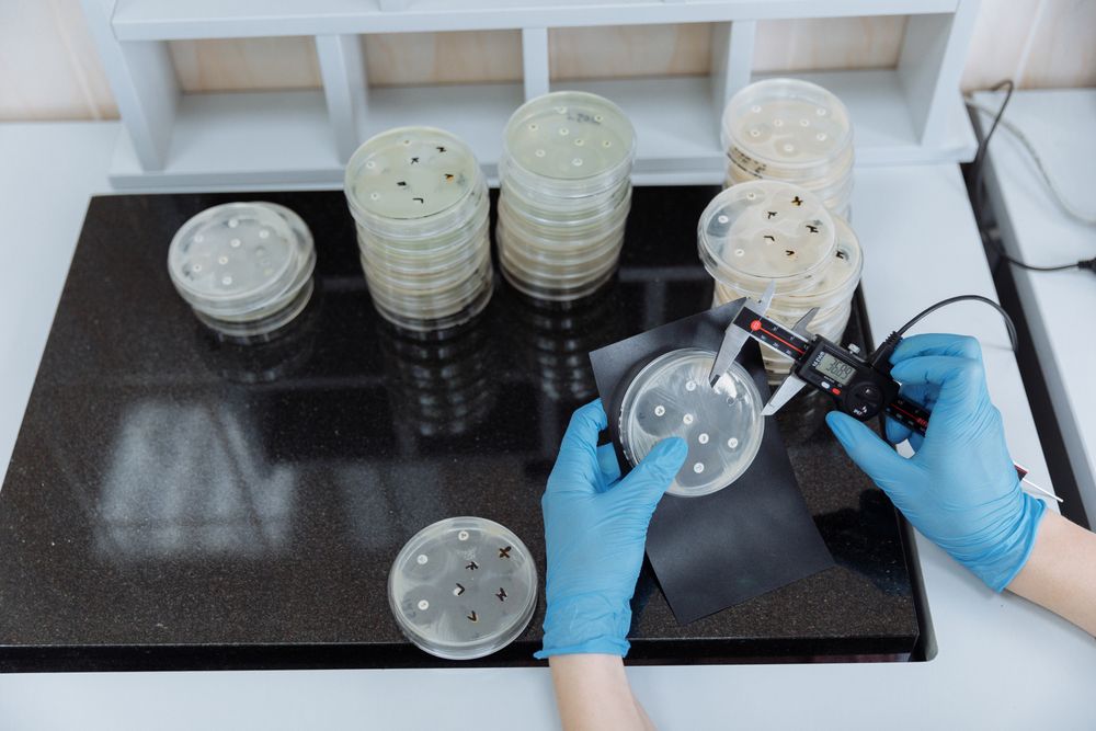 Stacked petri dishes on a laboratory bench while a researcher takes measurements